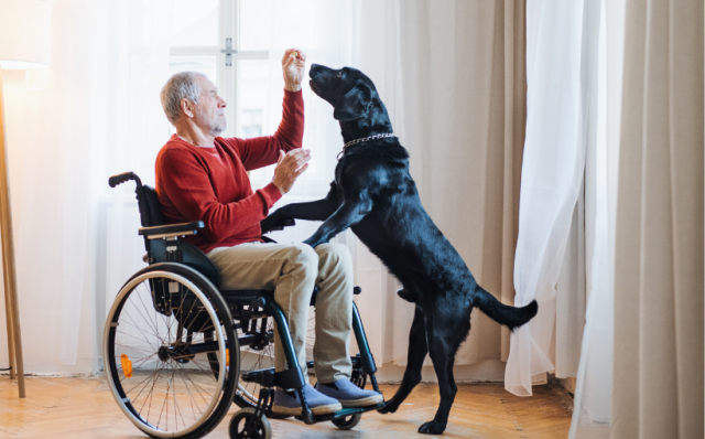 Specialist Disability Accommodation Design Standards Available