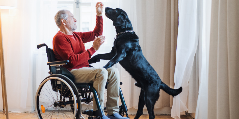 Specialist Disability Accommodation Design Standards Available Specialist Disability Accommodation Design Standards Available